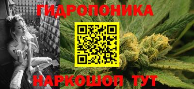 индика Краснокаменск