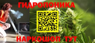 spice Краснознаменск