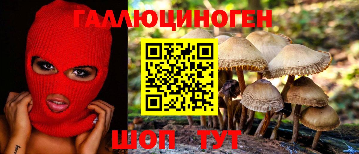 Кисловодск  Галлюциногенные грибы Cubensis  Вход с VPN  Псилоцибиновые грибы прущие грибы 