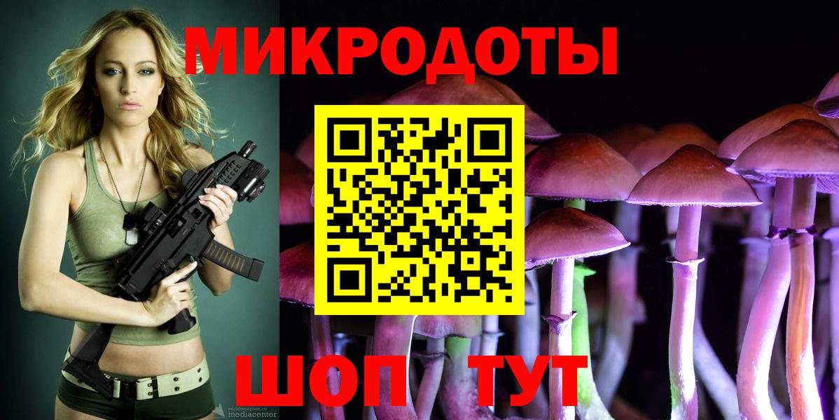 Псилоцибиновые грибы мицелий Кисловодск